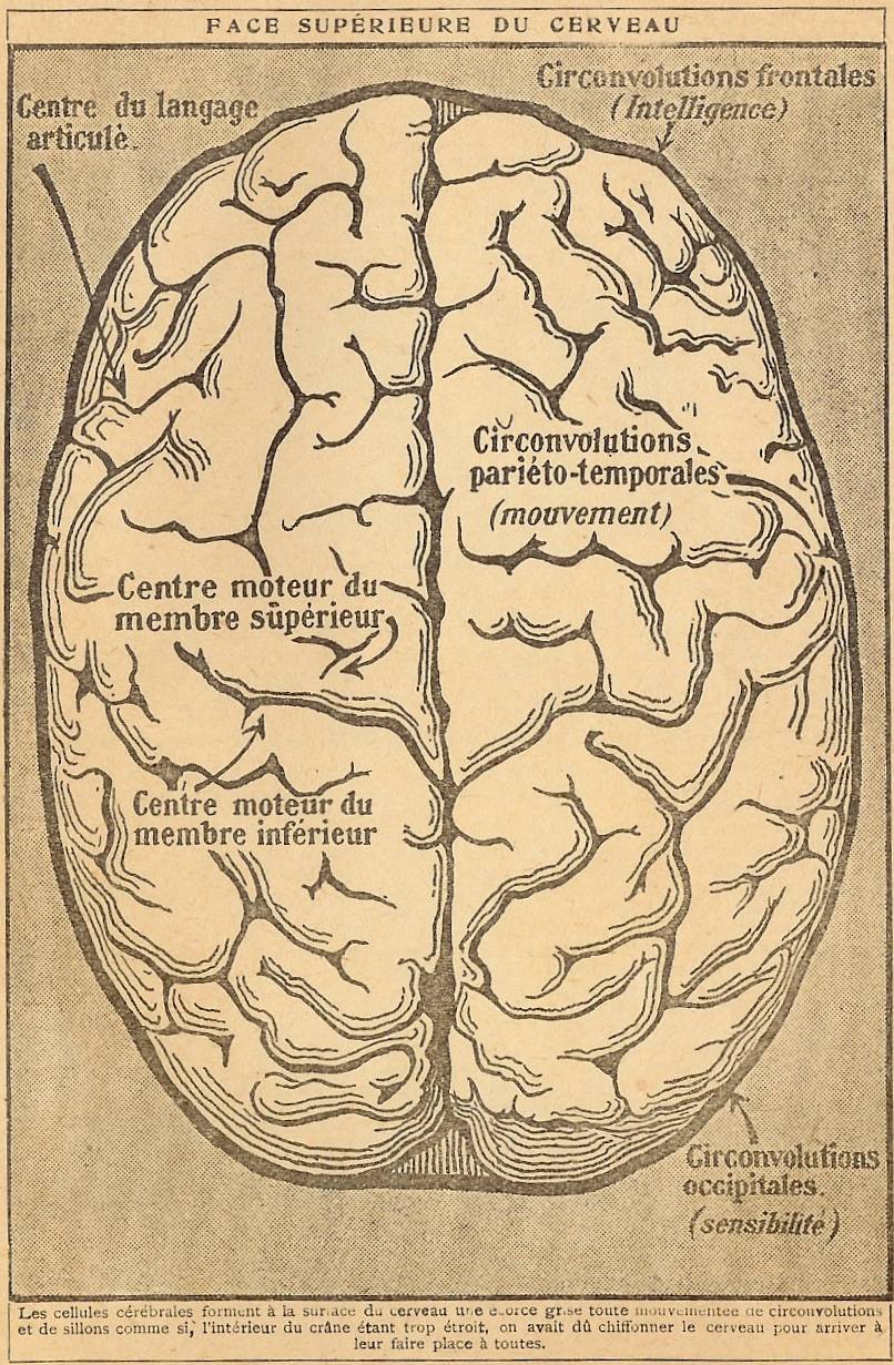 Rétro 1928: Les mystères du cerveau (2/3)